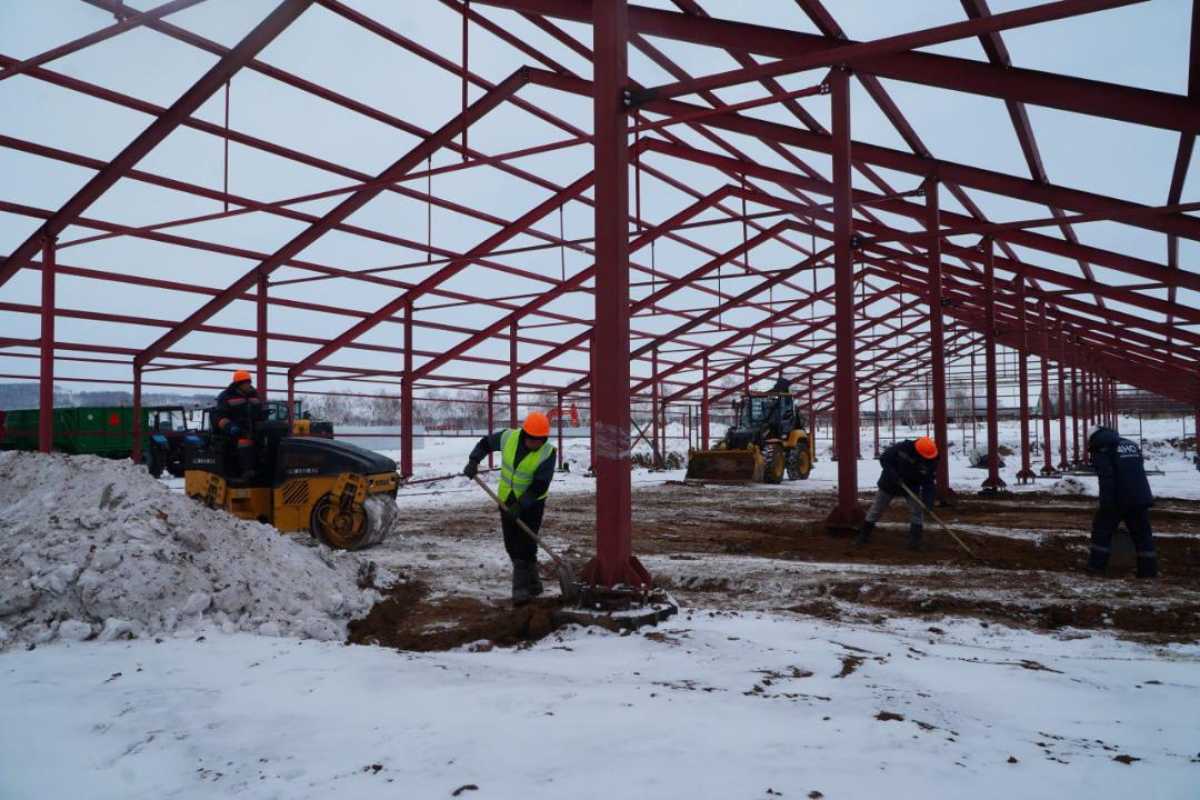В Бурабайском районе ведется строительство крупной молочно-товарной фермы и завода по переработке молока