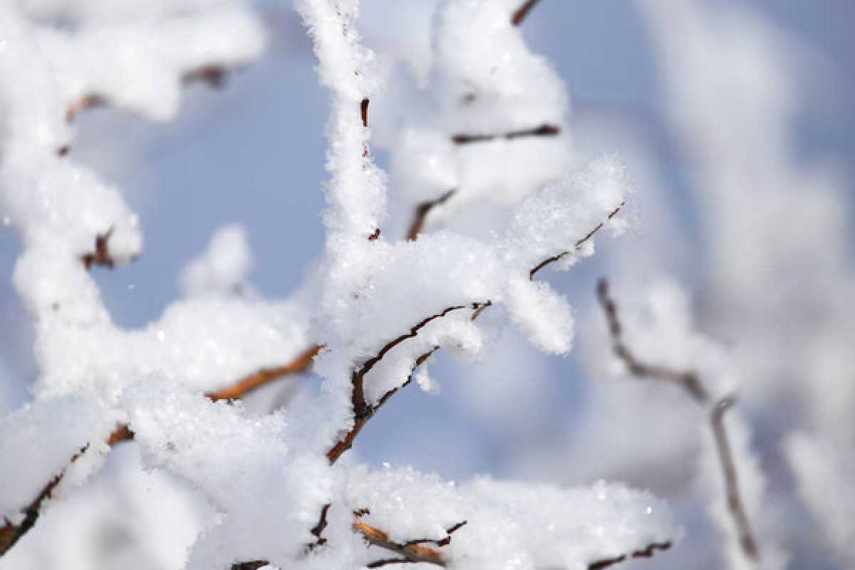 Какая погода ожидается в Астане, Алматы и Шымкенте 7–9 марта