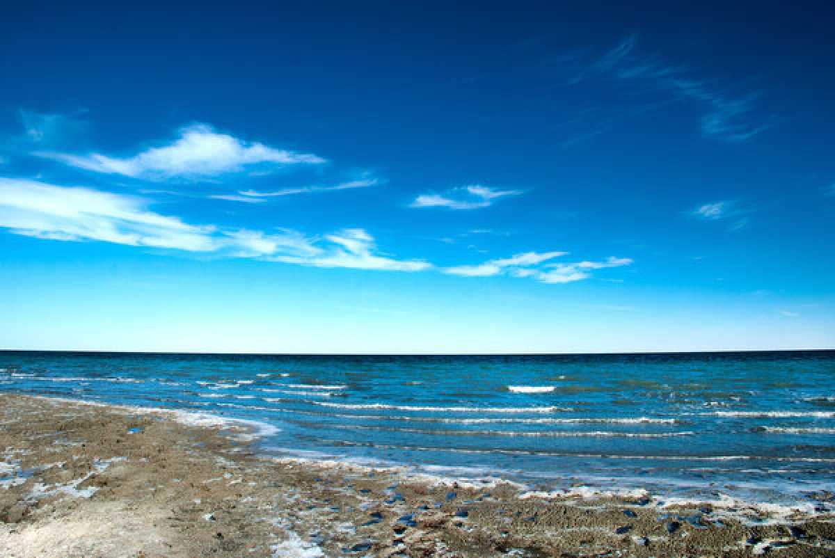 В Казахстане разработали вторую фазу проекта по сохранению Северного Арала