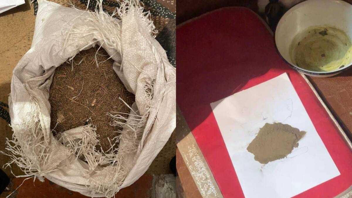 Более 6 кг марихуаны и гашиш изъяли у жителя ВКО