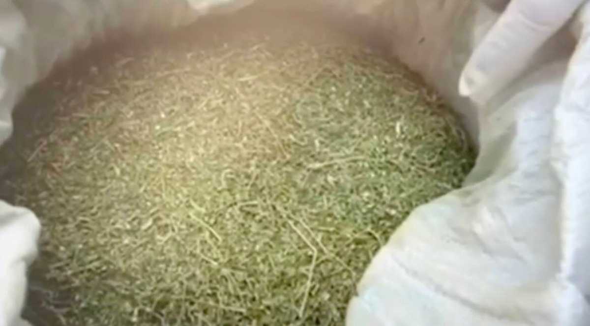 Более 112 кг наркотиков изъяли у преступной группы в Жамбылской области