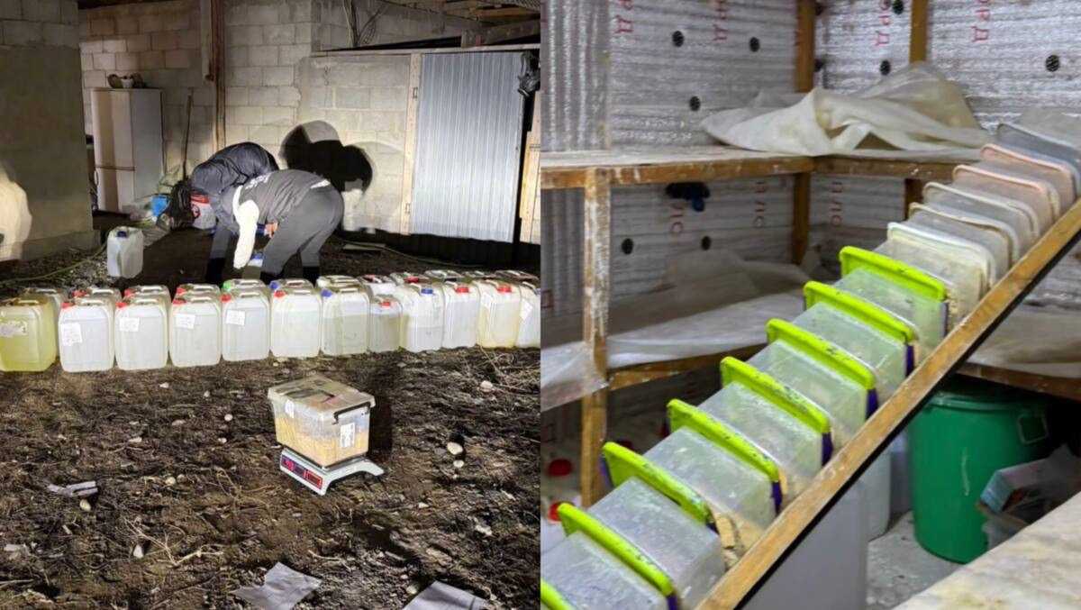 Нарколабораторию ликвидировали в Шымкенте