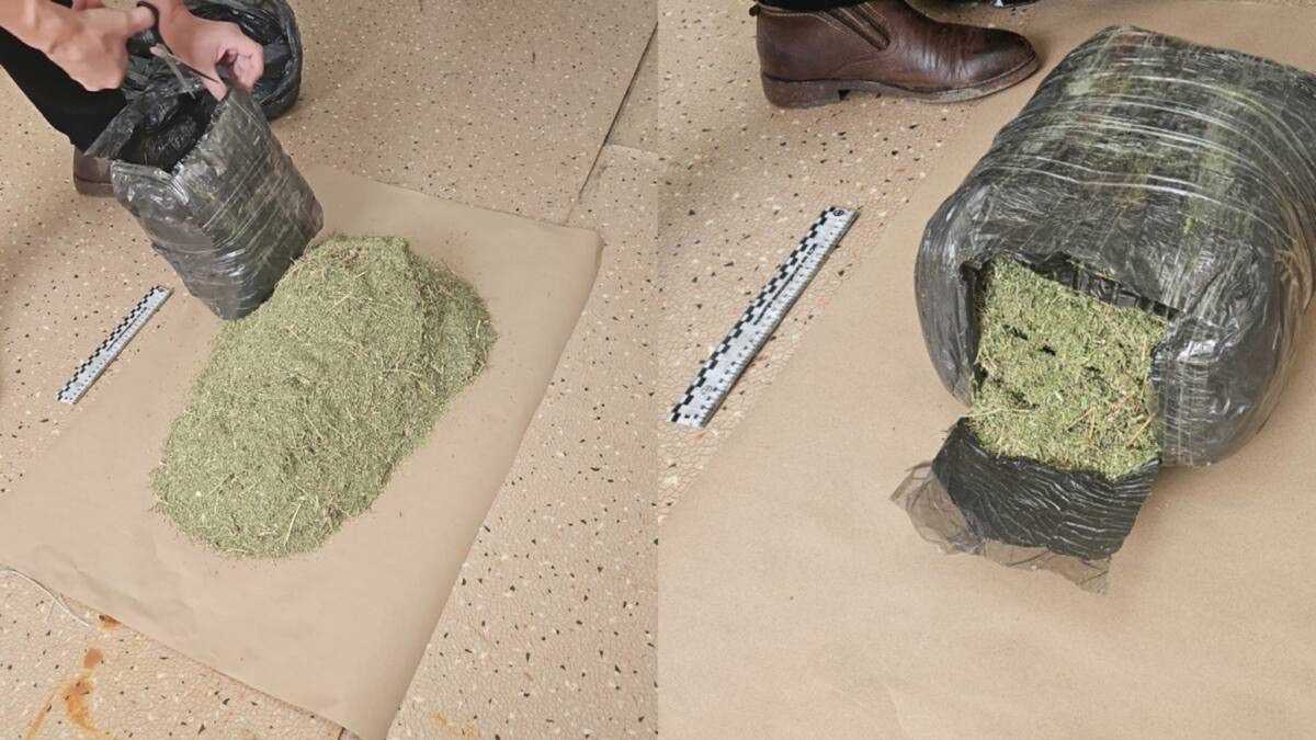 Более 4 кг марихуаны изъяли у жителя Актюбинской области