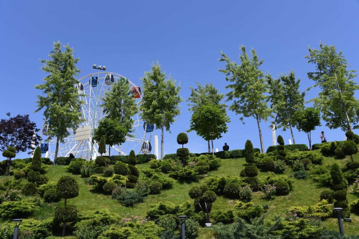 В Алматы утвердят дендрологический план до 2030 года