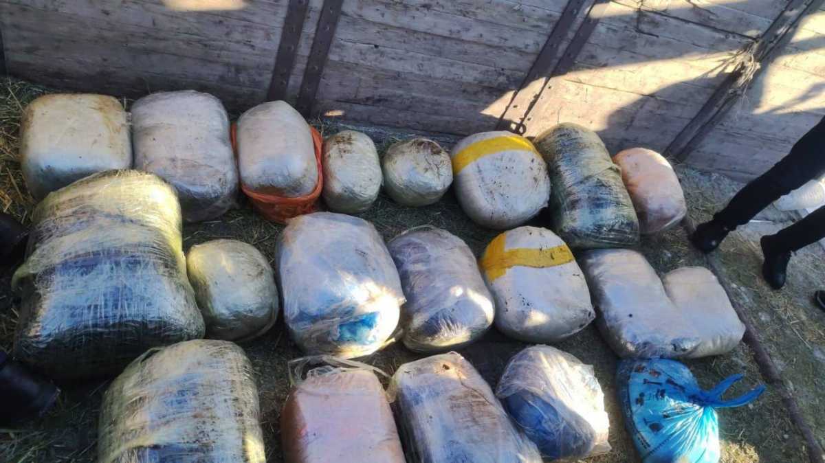 Более 200 кг наркотиков изъяли в Костанайской области