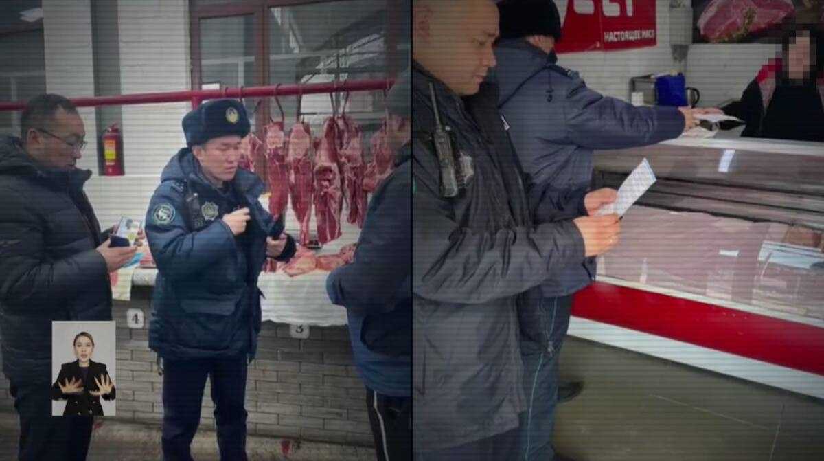 Около 500 голов скота вернули владельцам после рейдов полиции в Казахстане