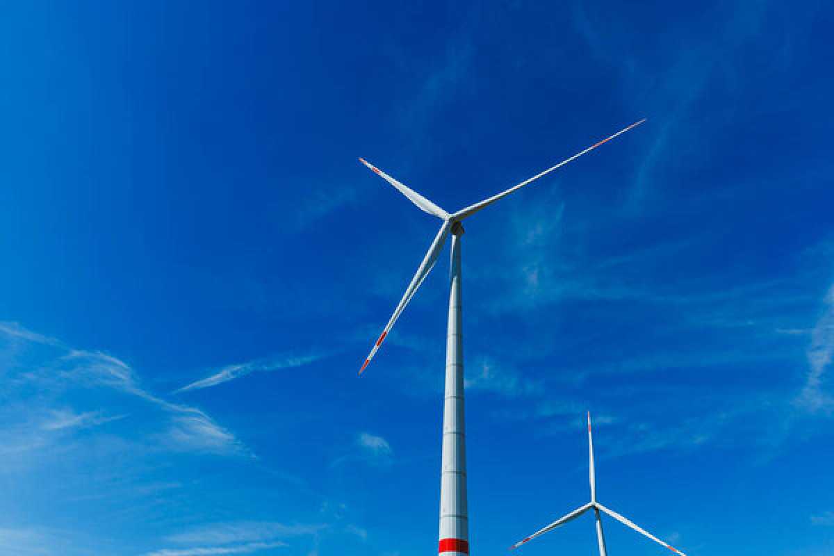 Французская компания приступила к строительству гигантской ветроэлектростанции на юге Казахстана