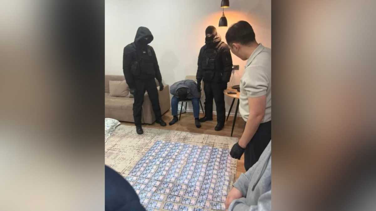 Мужчину, пытавшегося продать свою почку, осудили в Кокшетау