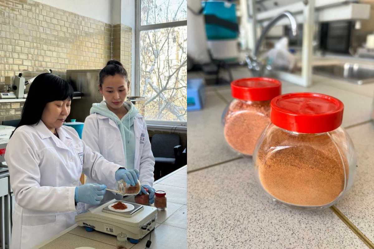 БАД для профилактики онкологических заболеваний разрабатывают казахстанские ученые