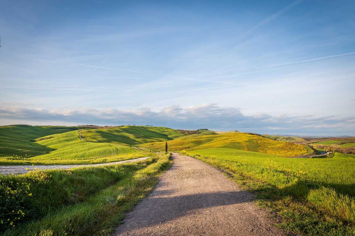 Продкорпорация стимулирует аграриев переходить на маржинальные культуры и повышать эффективность агротехнологий