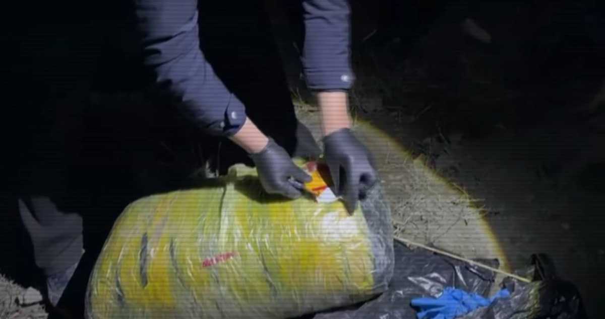 До миллиона доз: крупный канал поставки наркотиков ликвидировали в Улытауской области