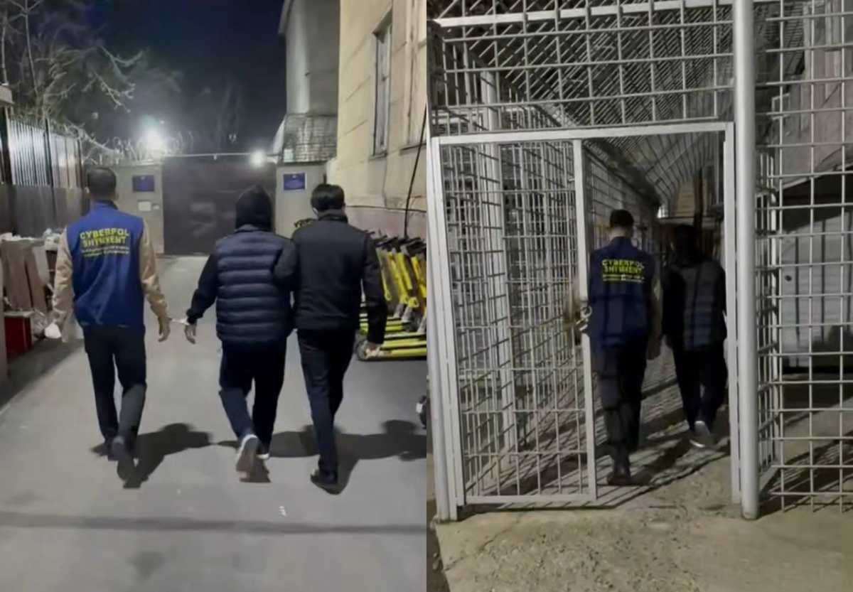 Права «под ключ» из TikTok: в Шымкенте пресекли очередную мошенническую схему