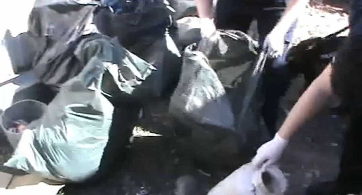 Две нарколаборатории ликвидировали в Талдыкоргане: задержаны иностранцы