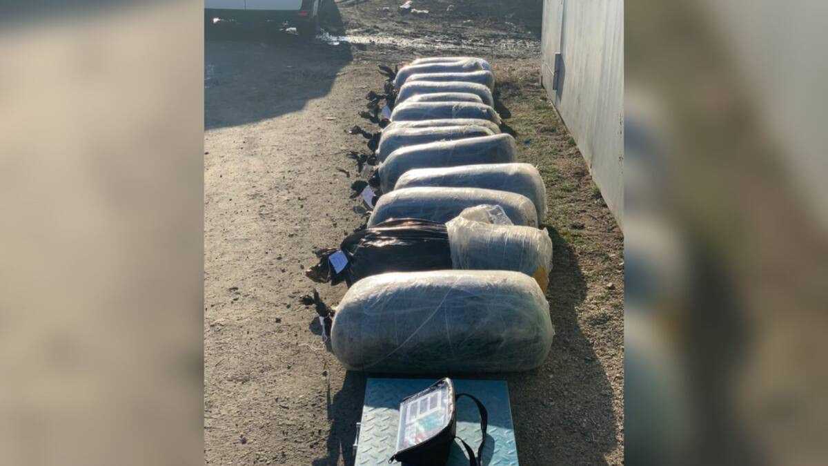 Тайник в гаражах: в Павлодарской области обнаружили крупную партию наркотиков