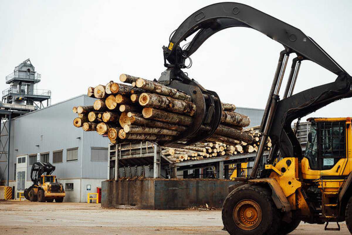 Деревообрабатывающий завод за 70 млрд тг построят в СКО