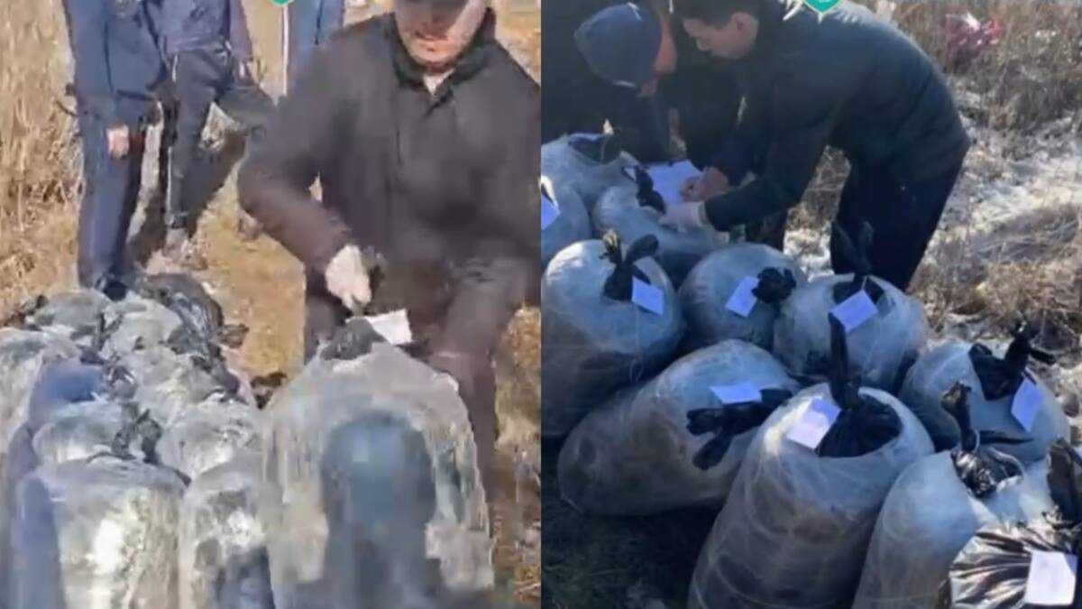 Спецоперация в Павлодарской области: полицейские крупный канал сбыта наркотиков