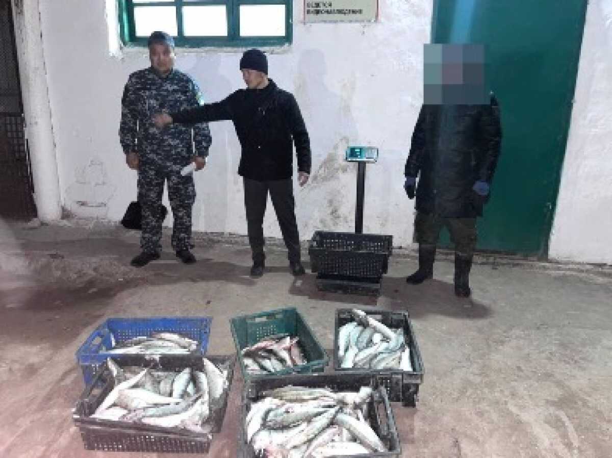 Браконьера с крупным уловом задержали в Карагандинской области