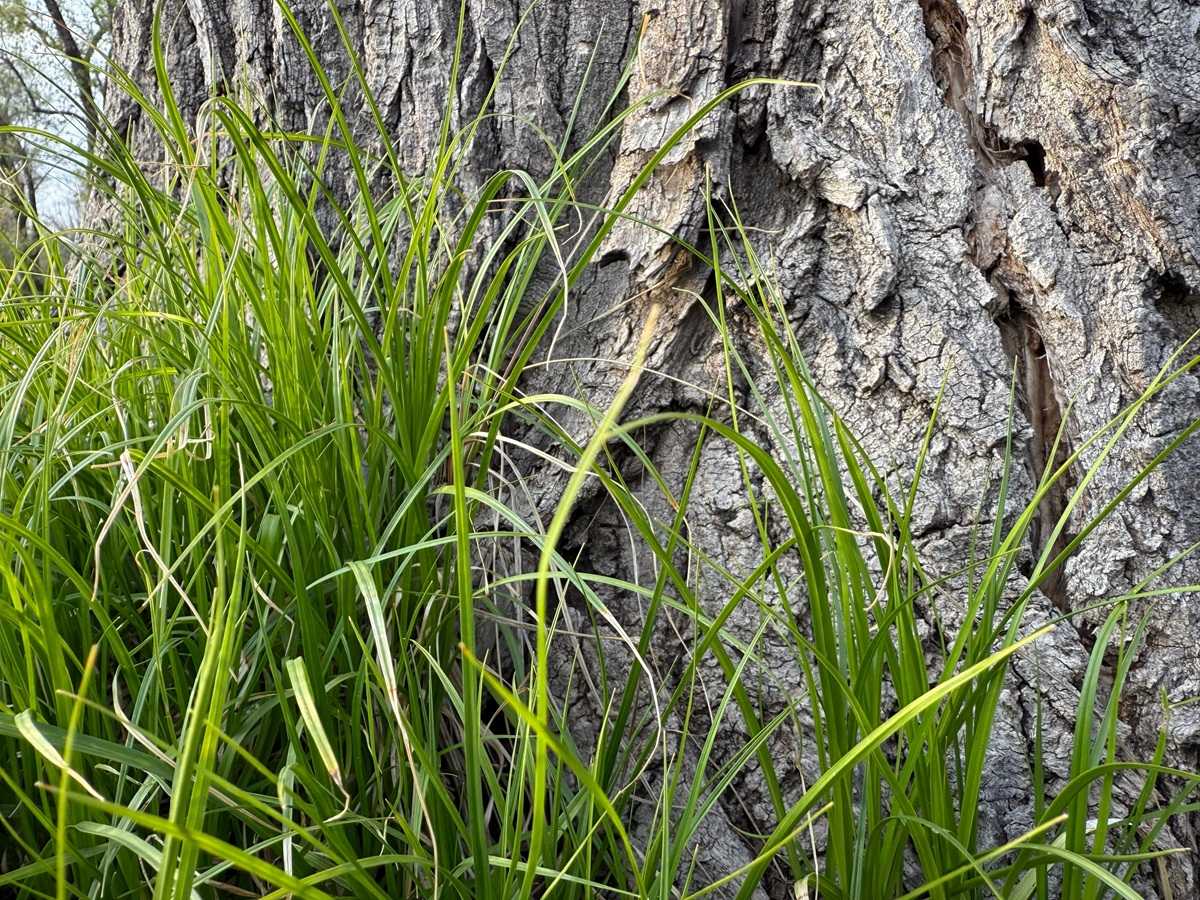 В Алматинской области расширяют экологические инициативы