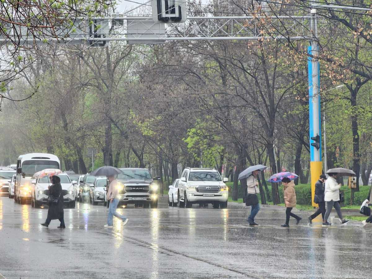 Сильные дожди и ветер: коммунальные службы Алматы переведены в режим готовности