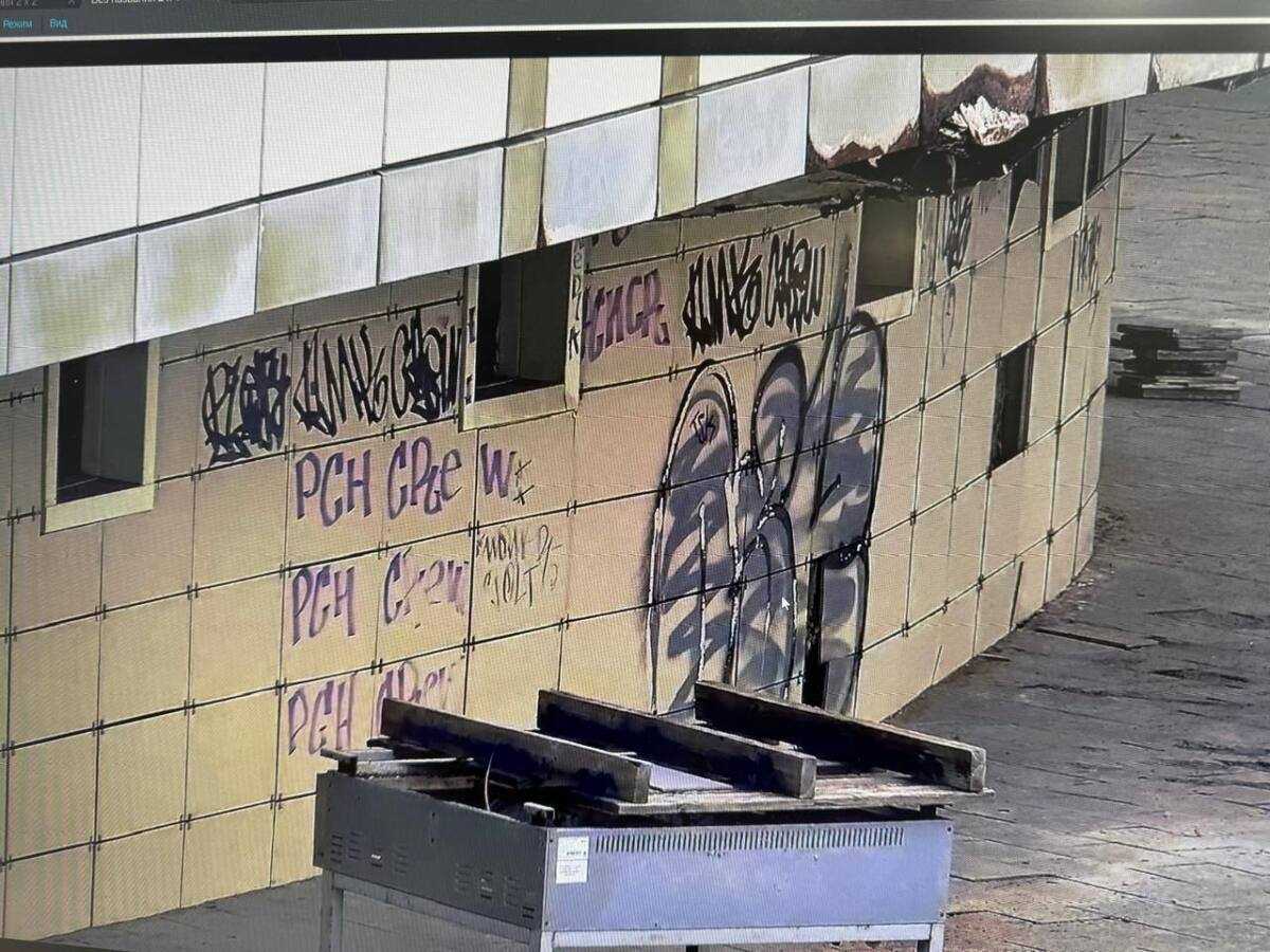 Камеры, дроны и рейды: в Астане усилили профилактику вандализма