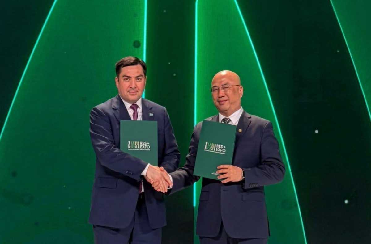 Казахстан и Китай запустят ветропарк на 500 МВт в Карагандинской области