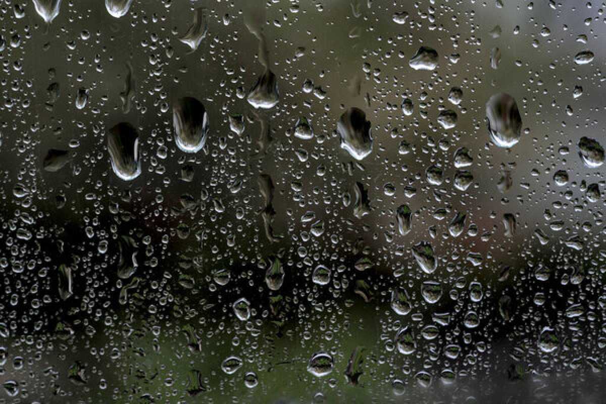 Дожди, грозы и заморозки: неустойчивая погода ожидается в Казахстане в ближайшие дни