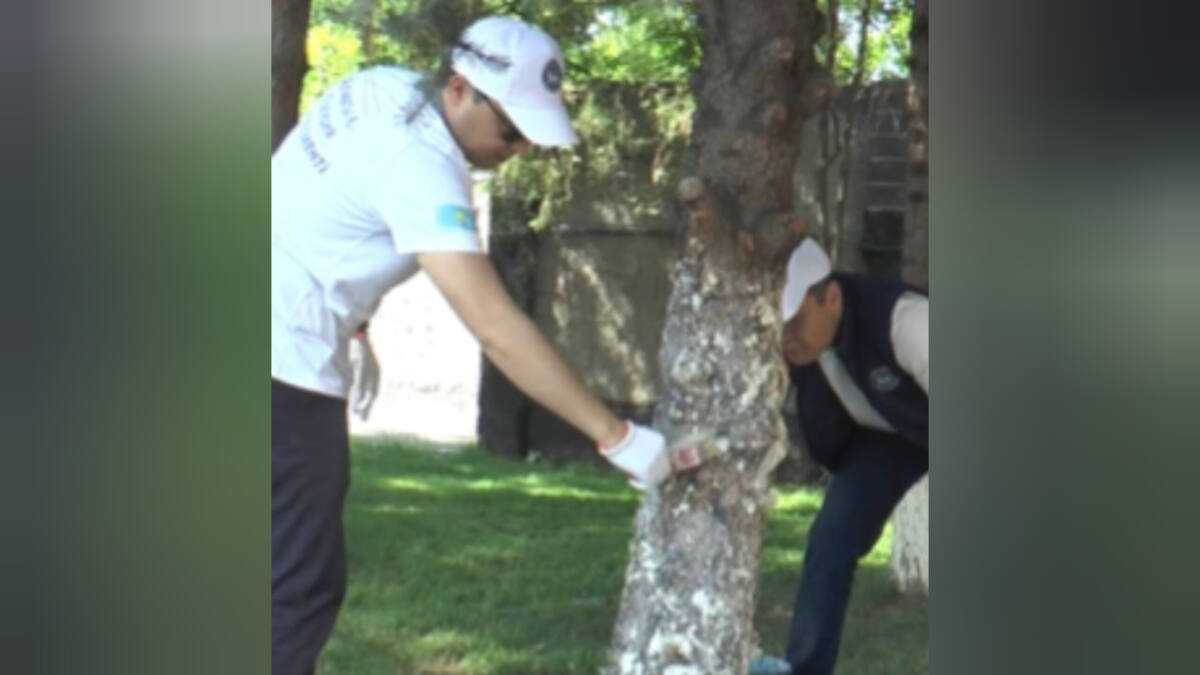 Полицейские вышли на уборку города в Алматы