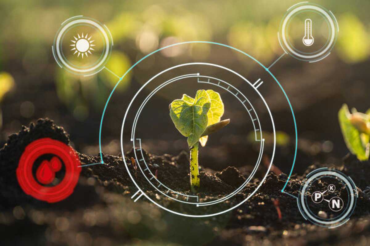 ИИ внедряют в управление посевными площадями в Казахстане