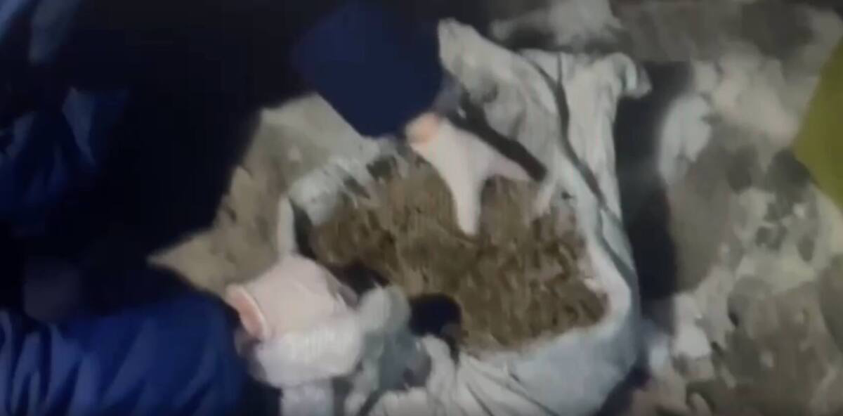 Крупную партию наркотиков обнаружили у мужчин в Жамбылской области