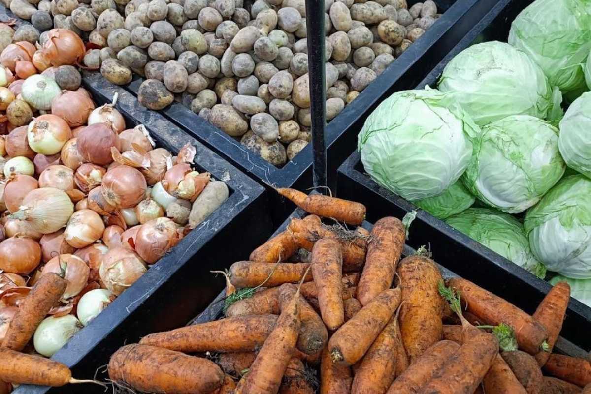 Рост цен на социальные продукты в Алматы составил менее 1% – акимат