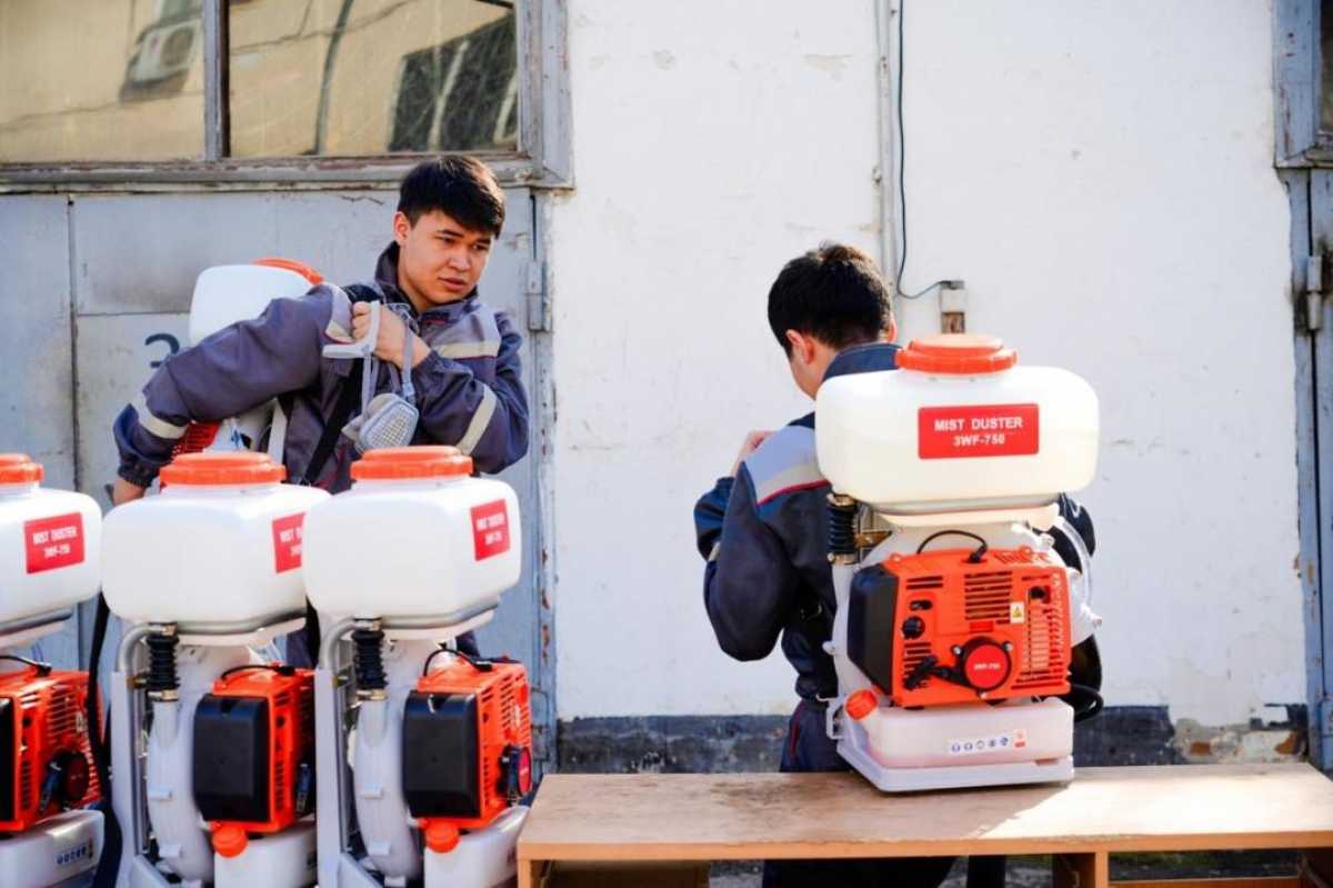 Как будут бороться с комарами и мошками в Астане