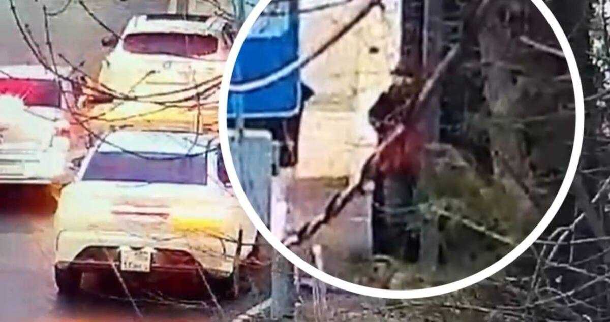 Разгромили остановку: трёх девушек задержали в Шымкенте