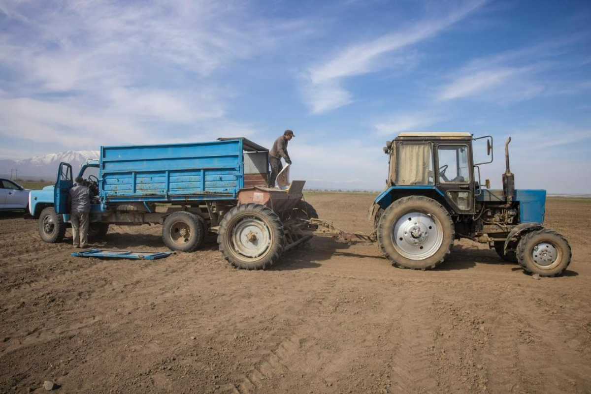 В Алматинской области началась весенняя посевная кампания