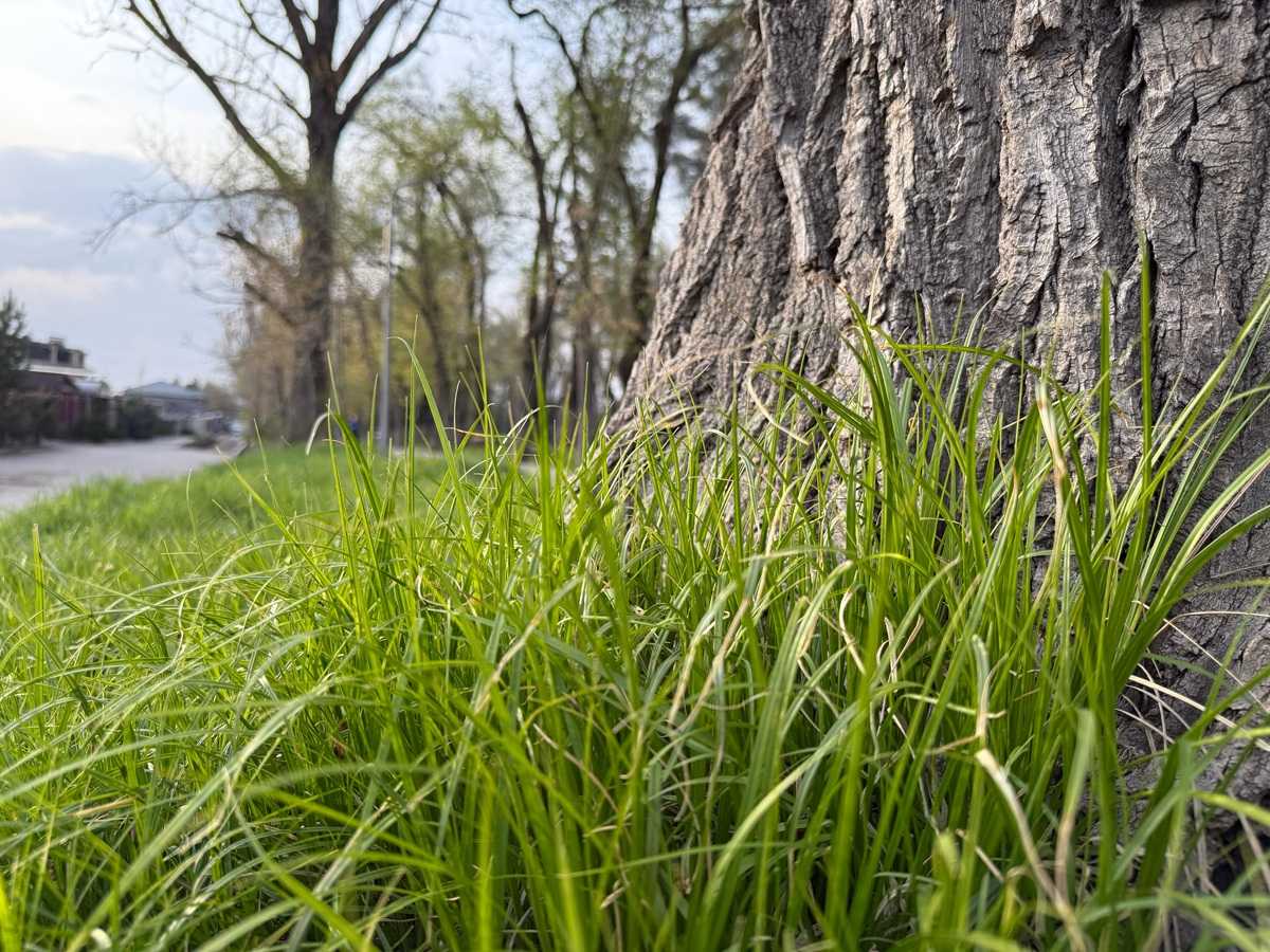 Приметы на 5 апреля 2026 года: что категорически запрещается делать в этот день