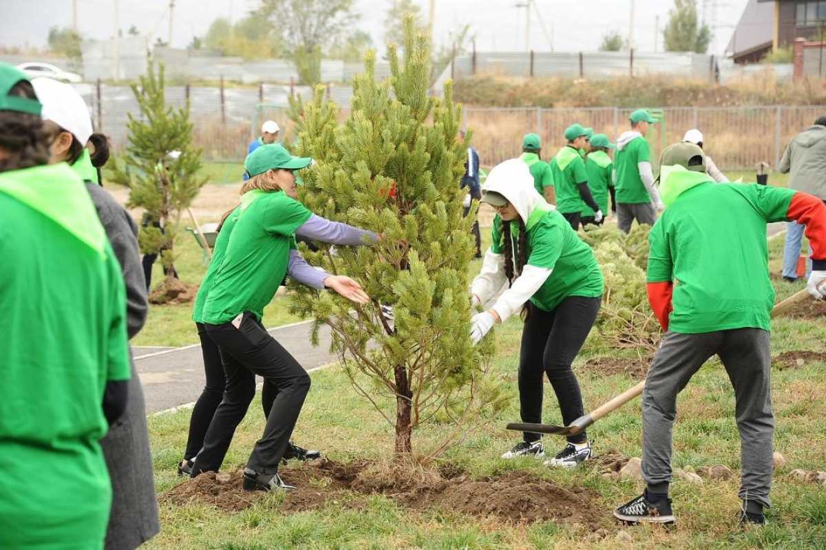 «Таза Қазақстан»: более 550 тысяч зелёных насаждений планируют высадить в Алматы в этом году