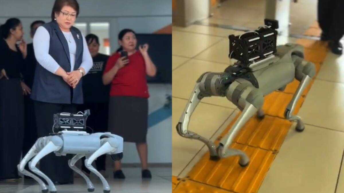 Безопасность детей: в школах Алматы тестируют роботов с функцией распознавания лиц