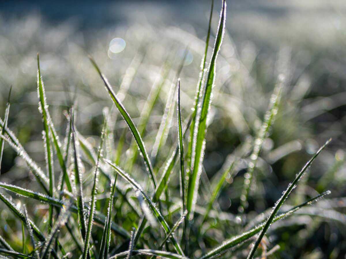 Дожди, снег и похолодание: синоптики предупредили о резкой смене погоды в Казахстане