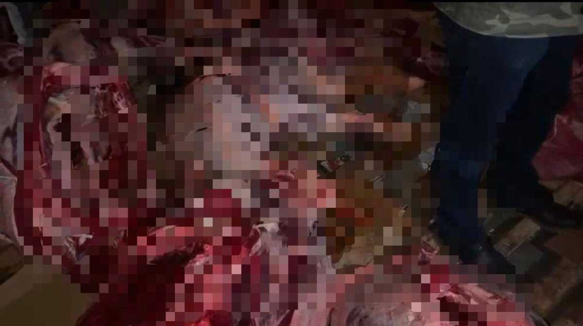 Фуру с 6 тоннами мяса без документов остановили в Астане