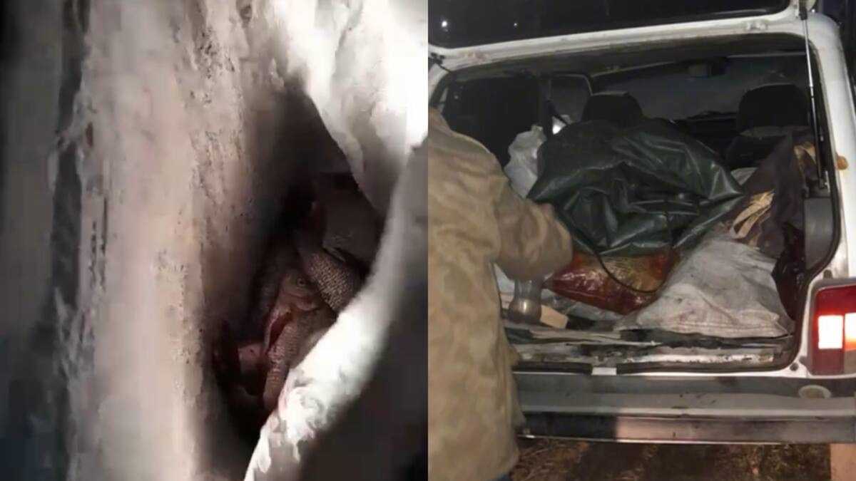 Рыбак лишился машины из-за 15 кг леща в Павлодаре