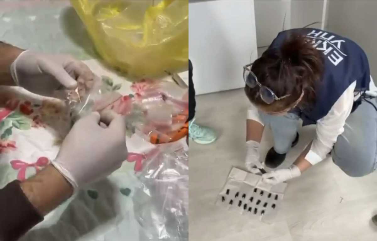 Нашла «работу» в соцсетях: подозреваемую в сбыте «синтетики» задержали в Таразе