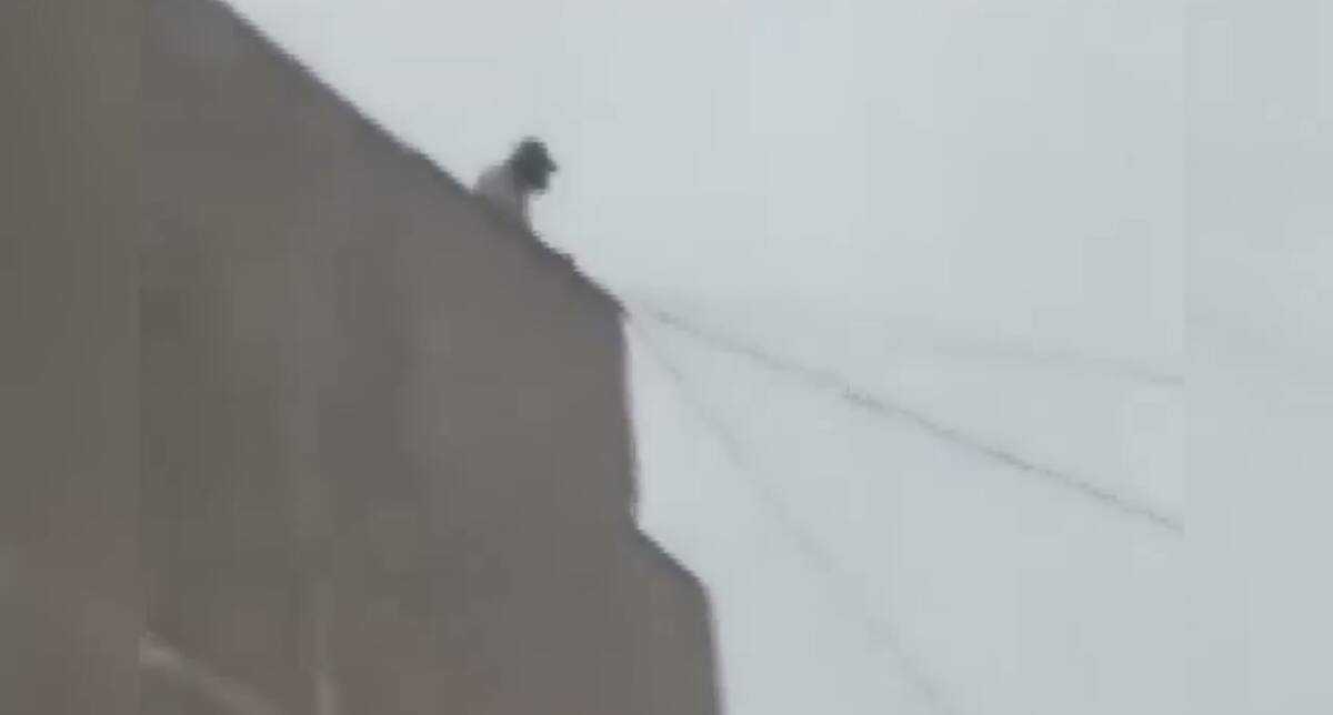 В Караганде полицейские предотвратили трагедию и спасли 16-летнюю девушку