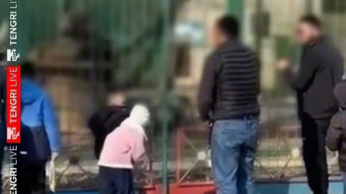 В Семее взрослые на глазах у детей забросали камнями вольер со львами