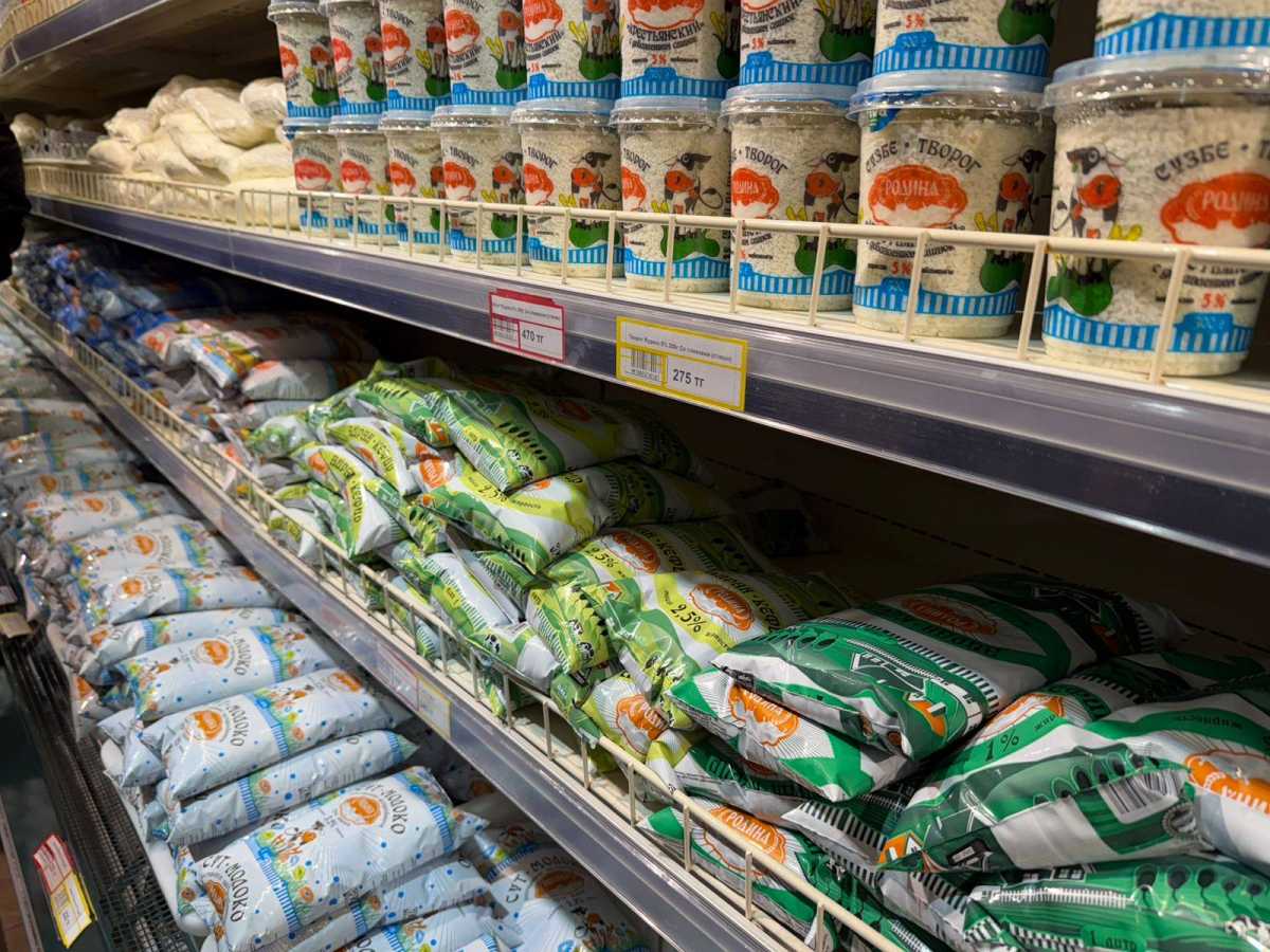 С поля на полку: в Казахстане масштабируют опыт образцовых хозяйств