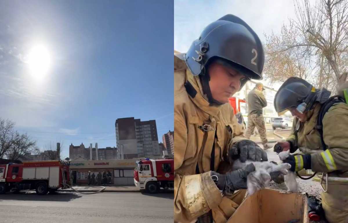 Кафе загорелось в Астане: пожарные предотвратили взрыв и спасли котят