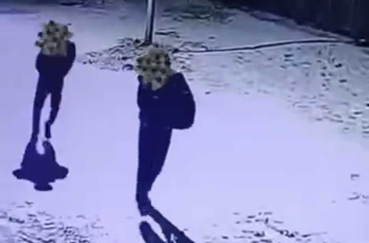 Сейф с деньгами и драгоценностями вынесли из дома в Улытауской области