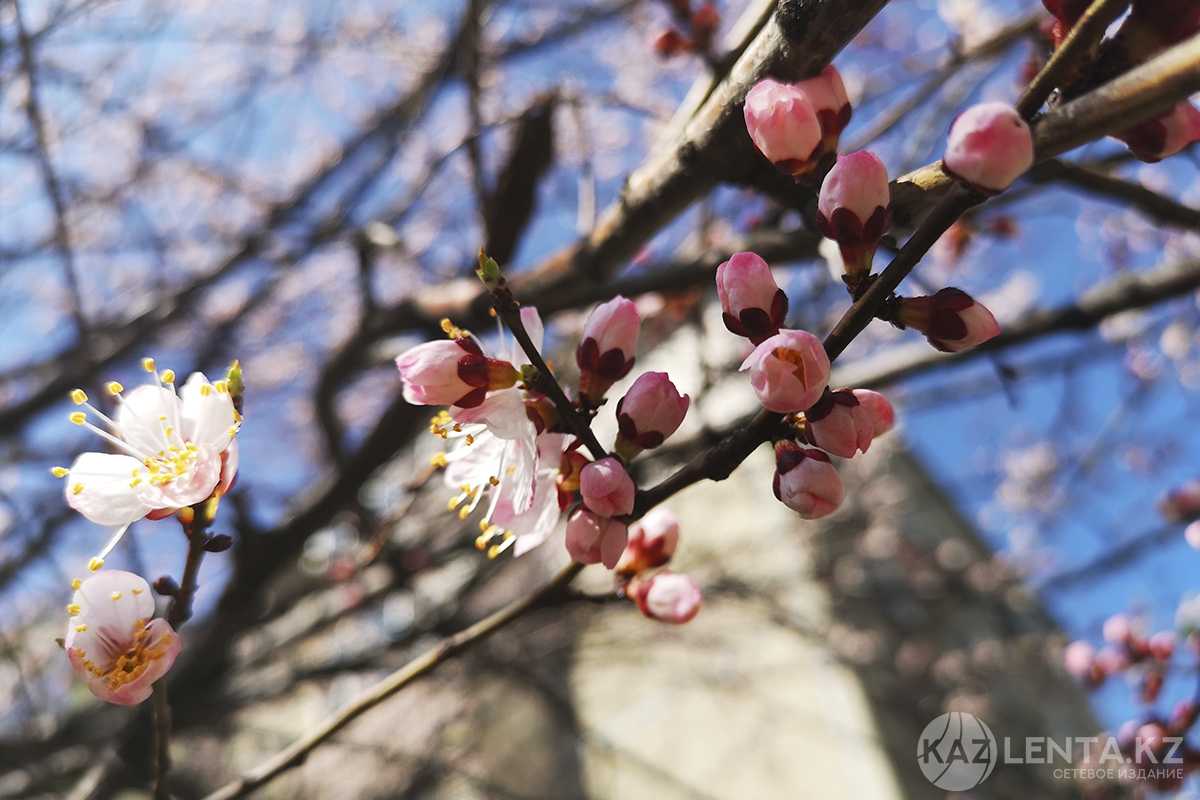 В Казахстане потеплеет до +28 градусов