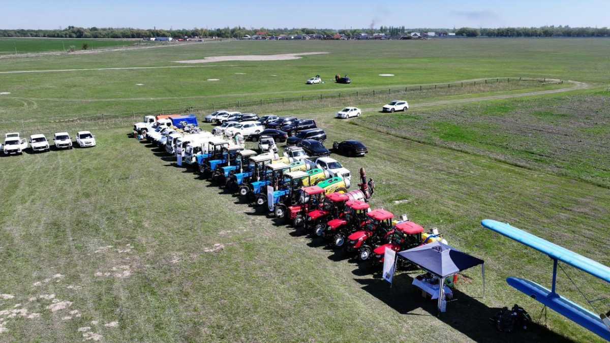 В южных регионах Казахстана приступают к защитным мероприятиям против саранчовых