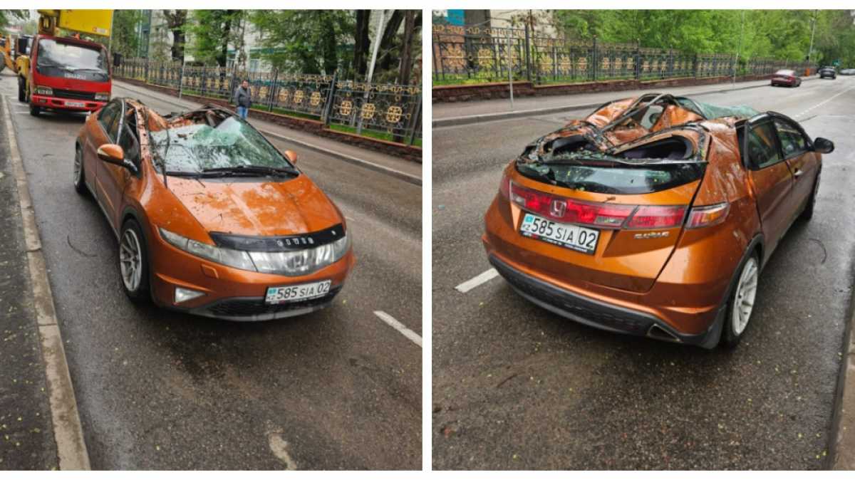 Дерево рухнуло на автомобиль на улице в Алматы