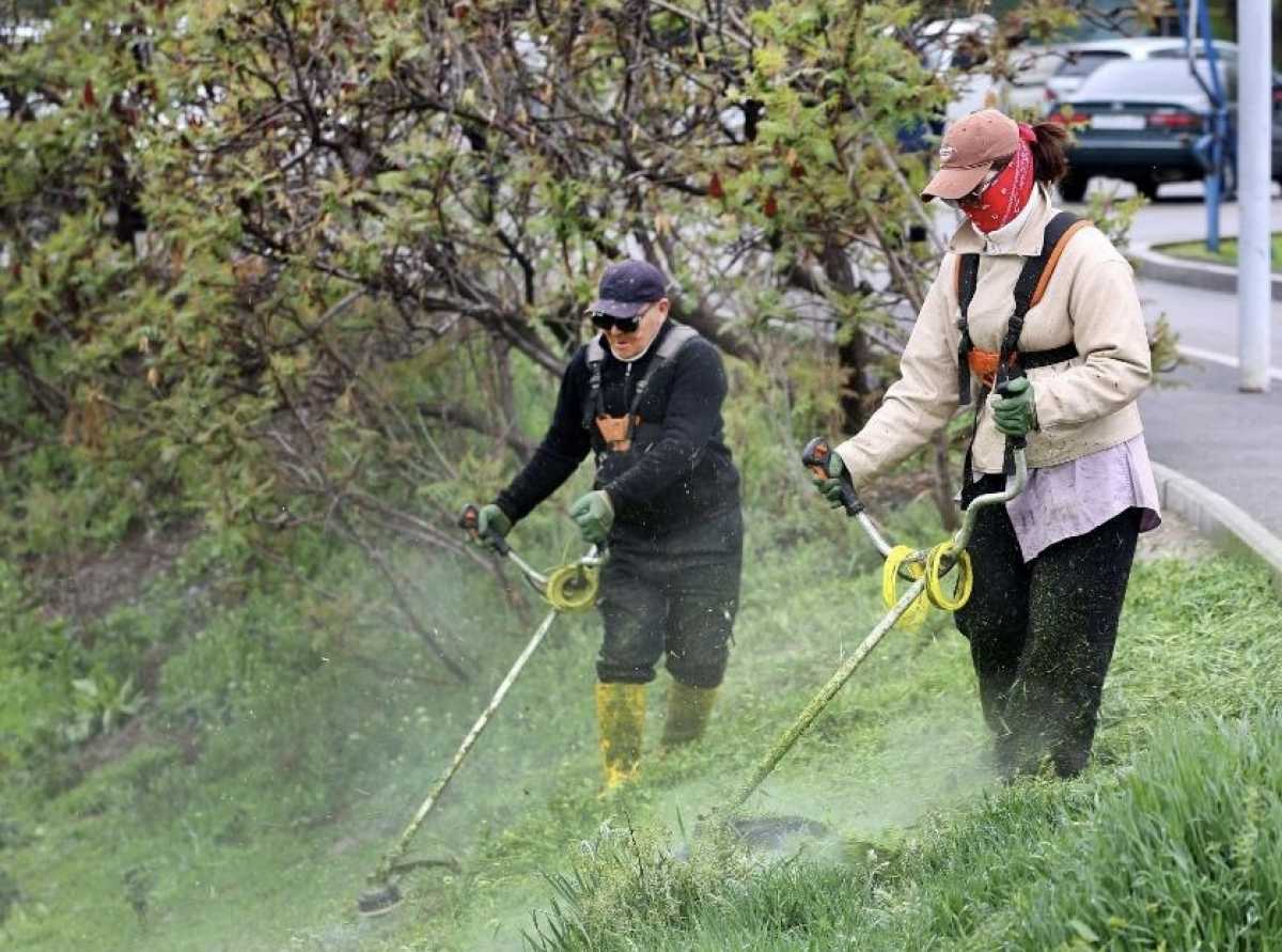 «Тазабек выходит в город»: в Алматы запускают экологическую инициативу «Таза сана»