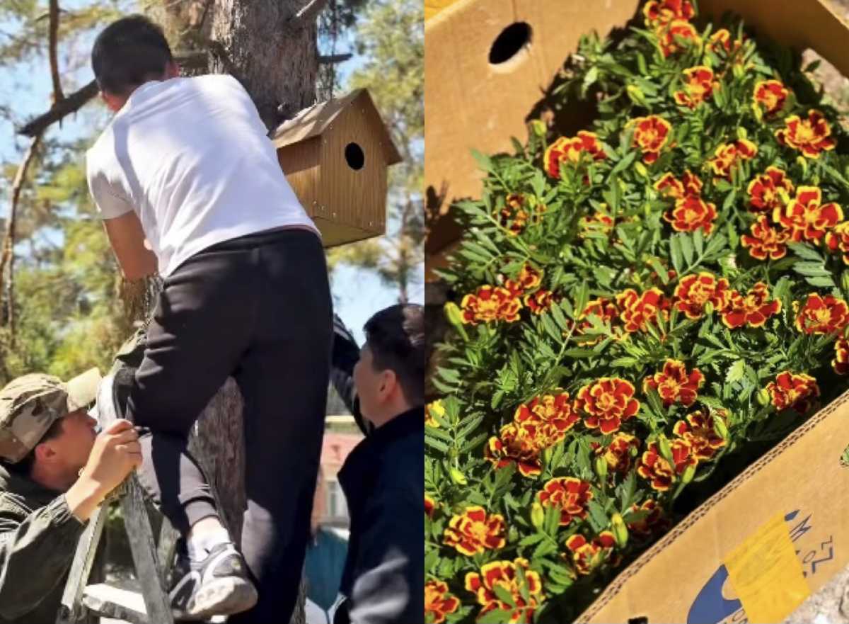 Саженцы и домики для птиц: школьники Алматинской области провели экоакцию